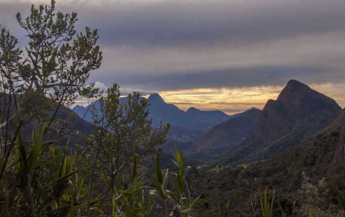 Foto de uma paisagem, no primeiro plano algumas plantas e no fundo montanhas do PARNASO
